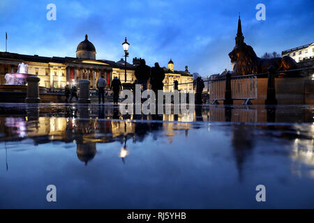 rainy day at Trafalgar Square with National Gallery in the background     picture by Gavin Rodgers/ Pixel8000 Stock Photo