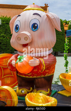 Year of the Pig celebrations, Nan Tien Temple, Wollongong Stock Photo