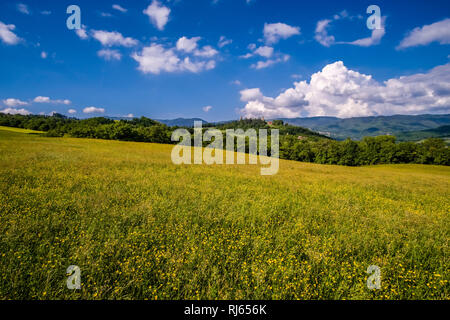 Typical hilly Tuscan countryside with fields and trees, Castello di Romena located on top of a hill Stock Photo