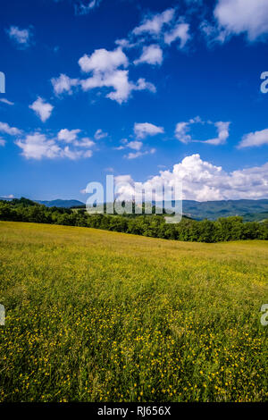 Typical hilly Tuscan countryside with fields and trees, Castello di Romena located on top of a hill Stock Photo