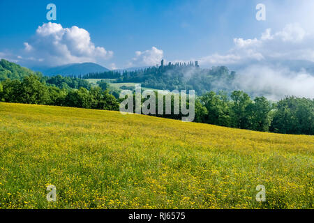 Typical hilly Tuscan countryside with fields and trees, Castello di Romena located on top of a hill in fog Stock Photo