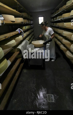 Die Sennerin verarbeitet frische Milch zu würzigem Alm-Käse, Die Lagerung und Reifung im Keller, Stock Photo