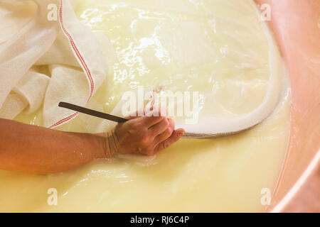 Die Sennerin verarbeitet frische Milch zu würzigem Alm-Käse, der Käsebruch wird aus dem Kessel gehoben und zu einem Laib weiterverarbeitet, Stock Photo