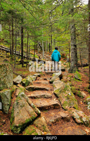 Long pond 2025 trail acadia