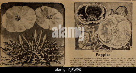 1918 - John Louis Childs Flowers Advertisement - Color T-Shirt