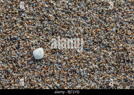 Sand, Kies und Muscheln findet man am Strand, Nahaufnahme, Stock Photo
