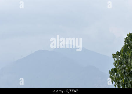 Tree top in winter and foggy mountain background. Cloudy himalayan Range. Winter landscape with distant mountains. Winter landscape views of mountain  Stock Photo
