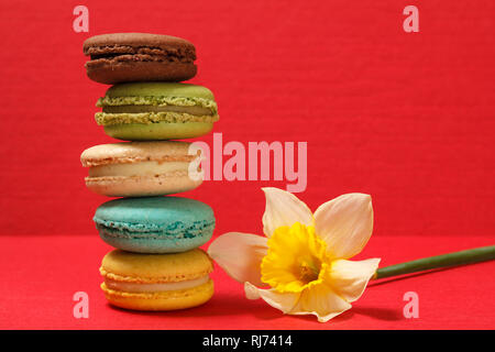Sweet macarons cakes of different color with fresh yellow daffodil flower on red textured surface and background. Stock Photo