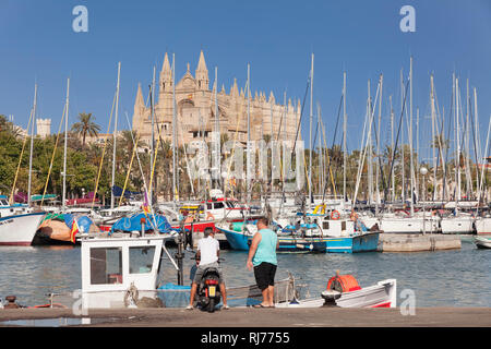 Blick vom Fischerhafen zur Kathedrale, Palma de Mallorca, Mallorca, Balearen, Spanien Stock Photo