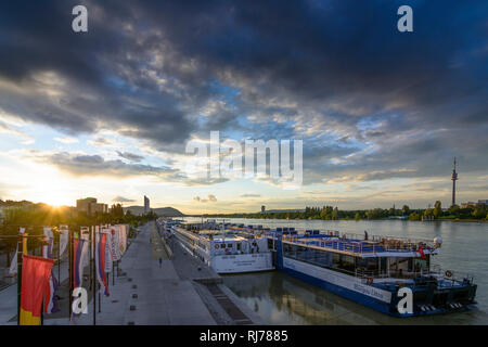 Cruise ships in the harbor on the Danube, view Kahlenberg (Vienna Woods), Wien, Vienna, 02. Leopoldstadt, Wien, Austria Stock Photo