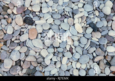Gray pebble texture as background Stock Photo