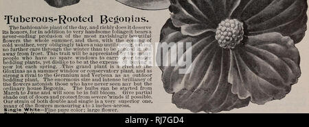 . Childs' rare flowers, vegetables, &amp; fruits. Commercial catalogs Seeds; Nurseries (Horticulture) Catalogs; Seeds Catalogs; Flowers Catalogs; Vegetables Catalogs; Fruit trees Catalogs; John Lewis Childs (Firm); Commercial catalogs; Nurseries (Horticulture); Seeds; Flowers; Vegetables; Fruit trees. JFtiberoas&quot;Rooted gegoqias. The fashionable plant of the day, and richly does it deserve its honors, for in addition to very handsome foliage it bears never-ending profusion of the most ravishingly beautiful flowers the whole summer, and then, with the coming of cold weather, very obligingly