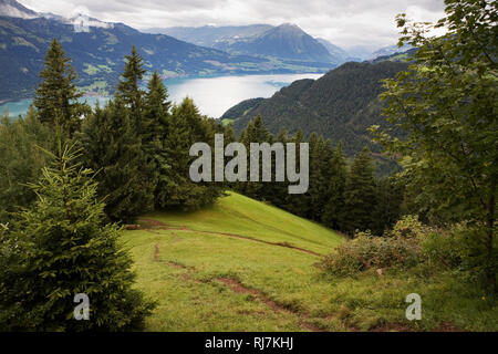 Lake Thun (Thunersee) from Harder Kulm above Interlaken, Kanton Bern, Switzerland Stock Photo