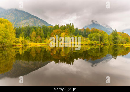 Moorweiher bei Oberstdorf, Oberallgäu, Allgäu, Bayern, Deutschland, Europa Stock Photo