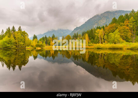 Moorweiher bei Oberstdorf, Oberallgäu, Allgäu, Bayern, Deutschland, Europa Stock Photo