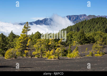 die dunklen Lavasandflächen von Llano del Jable, hinten die Caldera de Taburiente, La Palma, Kanarische Inseln, Spanien Stock Photo