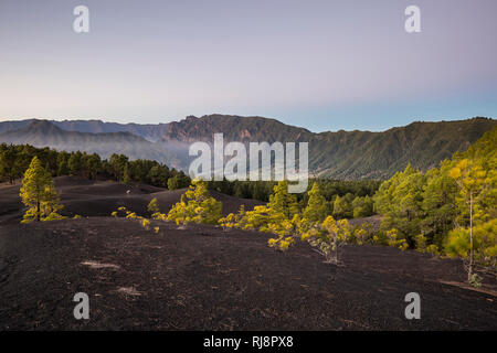 die dunklen Lavasandflächen von Llano del Jable, hinten die Caldera de Taburiente und der Gebirgskamm der Cumbre Nueva, La Palma, Kanarische Inseln, S Stock Photo