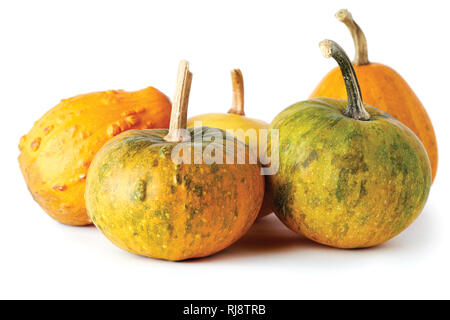 Organic raw mini pumpkins isolated on white background Stock Photo