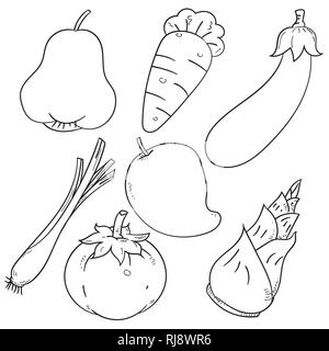 Set of Asian herb and fruit, isolated on white background for coloring book, education and food concepts. Simple hand drawn vector illustration Stock Vector