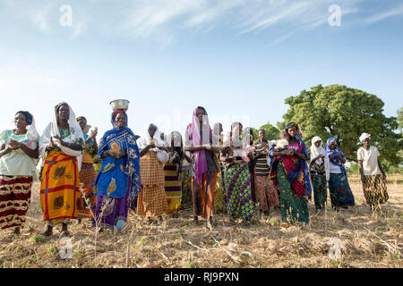 Kisambo Village, Yako, Burkina Faso, 28th November 2016; members of the Kisambo Village garden. Stock Photo