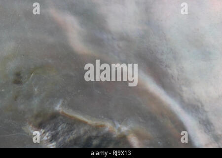 Abstract pearl background with shimmering nacreous mother of pearl grey and pink colours Stock Photo