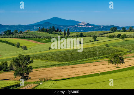 Typical hilly Tuscan countryside with fields, cypresses and trees Stock Photo