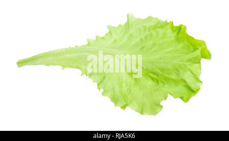 fresh green leaf of lettuce isolated on white background Stock Photo