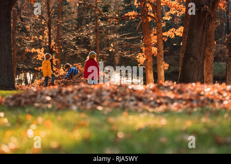 Three children playing in a pile of leaves, United States Stock Photo