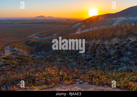 The vineyards of a winery on the hills of the Andes mountain range at sunset located in the desert of Ica near the city of Nazca, Peru. Stock Photo