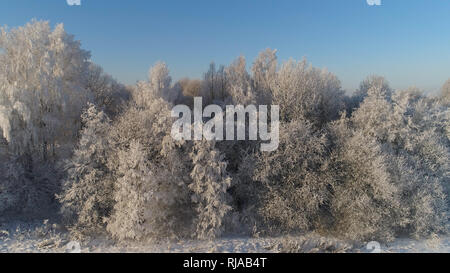 aerial view winter landscape trees covered with snow in countryside. winter forest on sunny day. Stock Photo