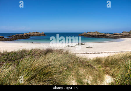 The White sands of Saye beach, marram grasses and sand-dunes on Alderney, channel islands. Stock Photo