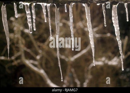 Icicles melting from the edge of a roof Stock Photo