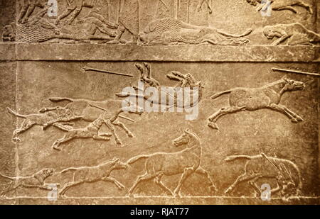 Carved relief circa 645-635 BC. Neo-Assyrian (Reign of Ashurbanipal. From the North Palace at Nineveh, Iraq. Made from Gypsum. Depicts the death of lions and horses. Stock Photo