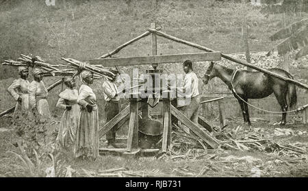 Native Cane Mill, Jamaica Stock Photo