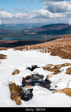 Allt Coire an t-Sneachda (Burn in the Corrie of the Snow) carving its way through the snow as it cascades down the side of Mount Cairn Gorm with a vie Stock Photo