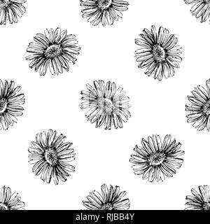 Seamless pattern of hand drawn sketch style daisies isolated on white background. Vector illustration. Stock Vector