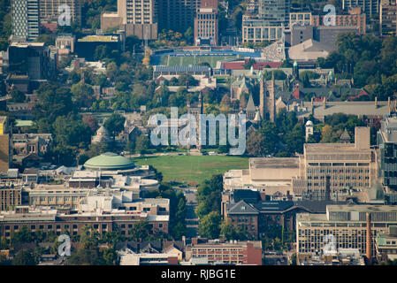 Aerial View of the University of Toronto St. George Campus. Stock Photo