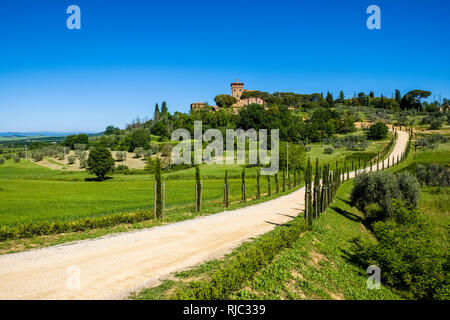 Typical hilly Tuscan countryside in Val d’Orcia with a gravel road and a cypress avenue leading to Palazzo Massaini Stock Photo