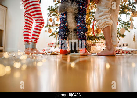 Close-up of three children's legs and a cat while decorating a Christmas tree Stock Photo