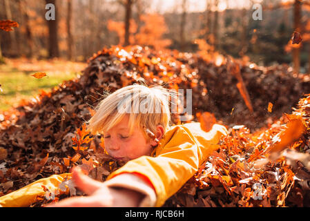 Boy playing a pile of autumn leaves, United States Stock Photo