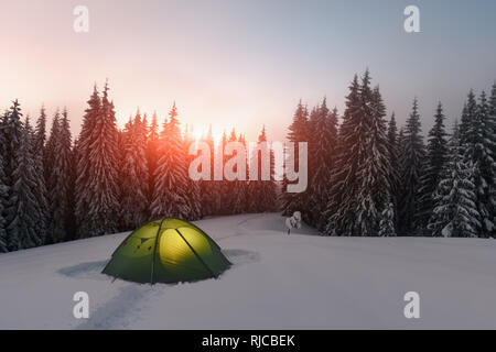 Green tent lighted from the inside by a flashlight against the backdrop of foggy pine tree forest. Amazing snowy landscape. Tourists camp in winter mountains. Travel concept Stock Photo