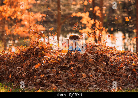 Two boys playing in a pile of leaves, United States Stock Photo
