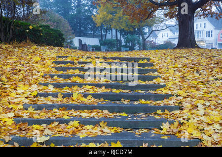 The Camden Village Green in Camden, Maine during the autumn months. Stock Photo