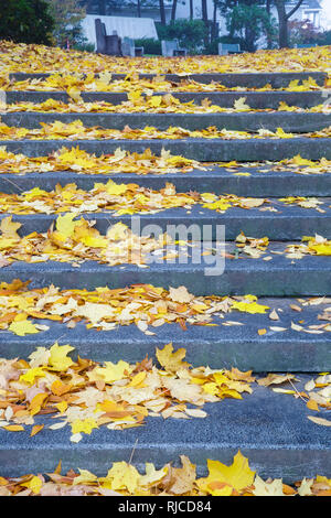 The Camden Village Green in Camden, Maine during the autumn months. Stock Photo