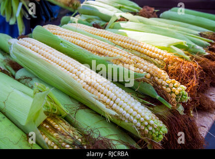 Corn cobs are sold in the vegetable market Stock Photo