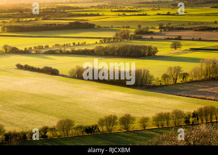 Long shadows in this late afternoon January view from the Devil's Kneading Trough, Wye Downs, Kent, UK. Stock Photo