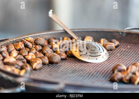 Unshelled chestnuts in shells on display street food roasting pan outside in Rome or Roma, Italy during summer outdoors closeup with spoon and nobody Stock Photo