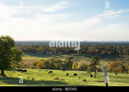 Looking over the valley at Gibbet Hill in Groton, Massachusetts, USA, with cows grazing and the trees showing fall colors. Stock Photo