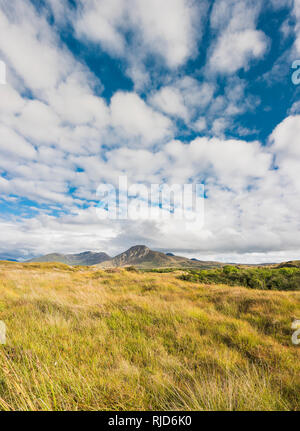 View across bog towards the Twelve Bens (Beanna Beola) mountain range of Connemara, from outside the village of Letterfrack, County Galway, Ireland Stock Photo