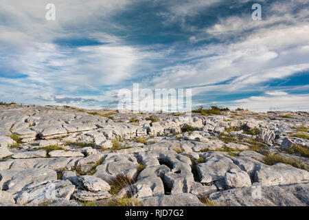 Limestone pavement in the Burren County Clare, Ireland Stock Photo
